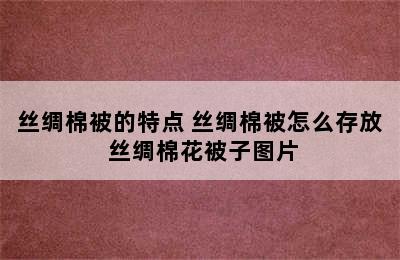 丝绸棉被的特点 丝绸棉被怎么存放 丝绸棉花被子图片